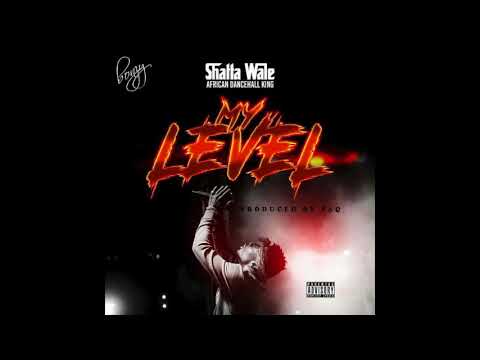 Shatta Wale - My Level (Audio Slide)